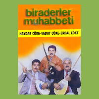 Haydar Çöke, Vedat Çöke, Erdal Çöke