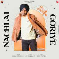 Himmat Sandhu, Desi Frenzy