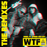 Wtf [Tujamo Remix] (Feat. Amber Van Day)