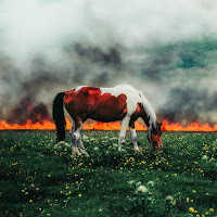 Indie Tribe, Nobigdyl.