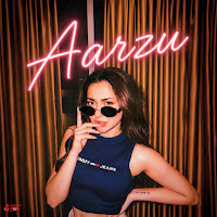 Aarzu (Asim Azhar Edm Mix)