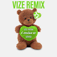 Jax Jones, Au/Ra, Vize