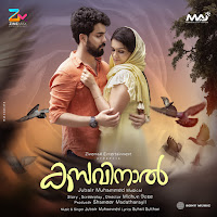 Kasavinaal