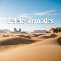 Delete Memories