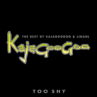 Kajagoogoo