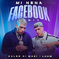 Mi Nena Facebook Remix
