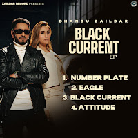 Karam Brar, El Boii, Bhangu Zaildar