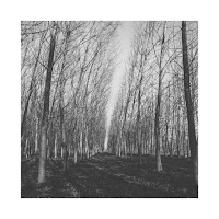 What I Like About You Is What I Imagine