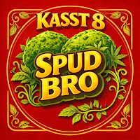 Kasst 8