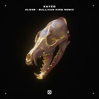 Kayzo, Our Last Night