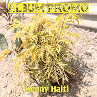 Kenny Haiti