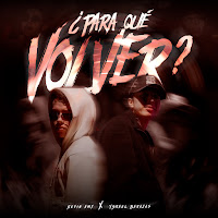 Para Qué Volver