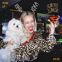 Пьяную Домой