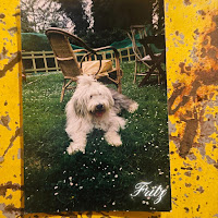 Kronos, Chief, Willy Sunshine