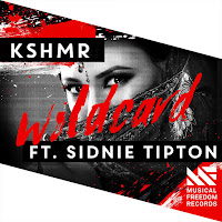 Wildcard [Extended Mix] (Feat. Sidnie Tipton)