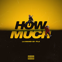 La Mano 1.9, Plk