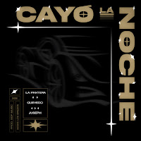 Cayó La Noche