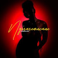 Ngisasemncane (Feat. Nkulee501 & Skroef28)