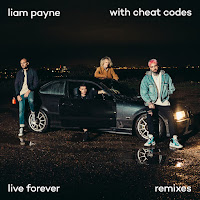 Liam Payne, Cheat Codes