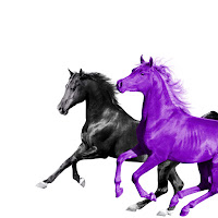 Lil Nas X, Rm