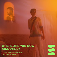 Lost Frequencies, Calum Scott