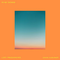 Lost Frequencies, David Kushner