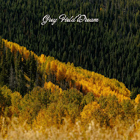 Grey Field Dream