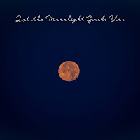 Let The Moonlight Guide You