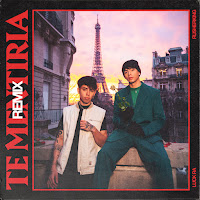 Te Mentiría Remix