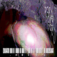 Body