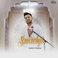 Saadgi