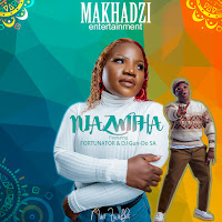 Niazwifha (Feat. Dj Gun Do Sa & Fortunator)