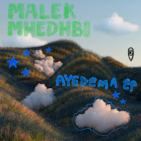 Malek Mhedhbi
