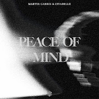 Martin Garrix, Citadelle