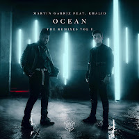 Ocean (Martin Garrix & Cesqeaux Remix) (Feat. Khalid)