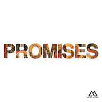 Promises (Radio Version) (Feat. Naomi Raine)