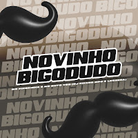 Novinho Bigodudo