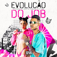 Mc Pipokinha, Mc Pl Alves, Dj Traka