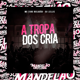 Mc Zudo Boladão