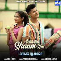 Aawara Shaam Hai (Lofi Mix)