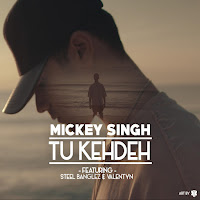 Mickey Singh, Steel Banglez, Valentyn