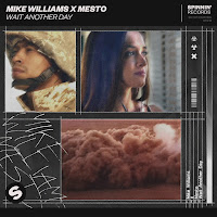 Mike Williams, Mesto