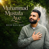 Muhammad Mustafa Aye