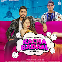Kacha Badam (Feat. Bhuban Badyakar)