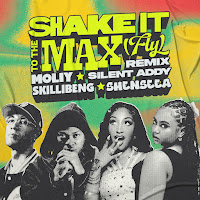 Shake It To The Max (Fly) [Remix]
