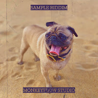 Sample Riddim