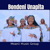 Bondeni Unapita