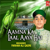 Muhammed F Ali Qadir