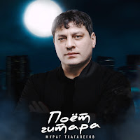 Поёт Гитара