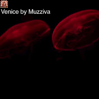 Venice (Ib Music Ibiza)